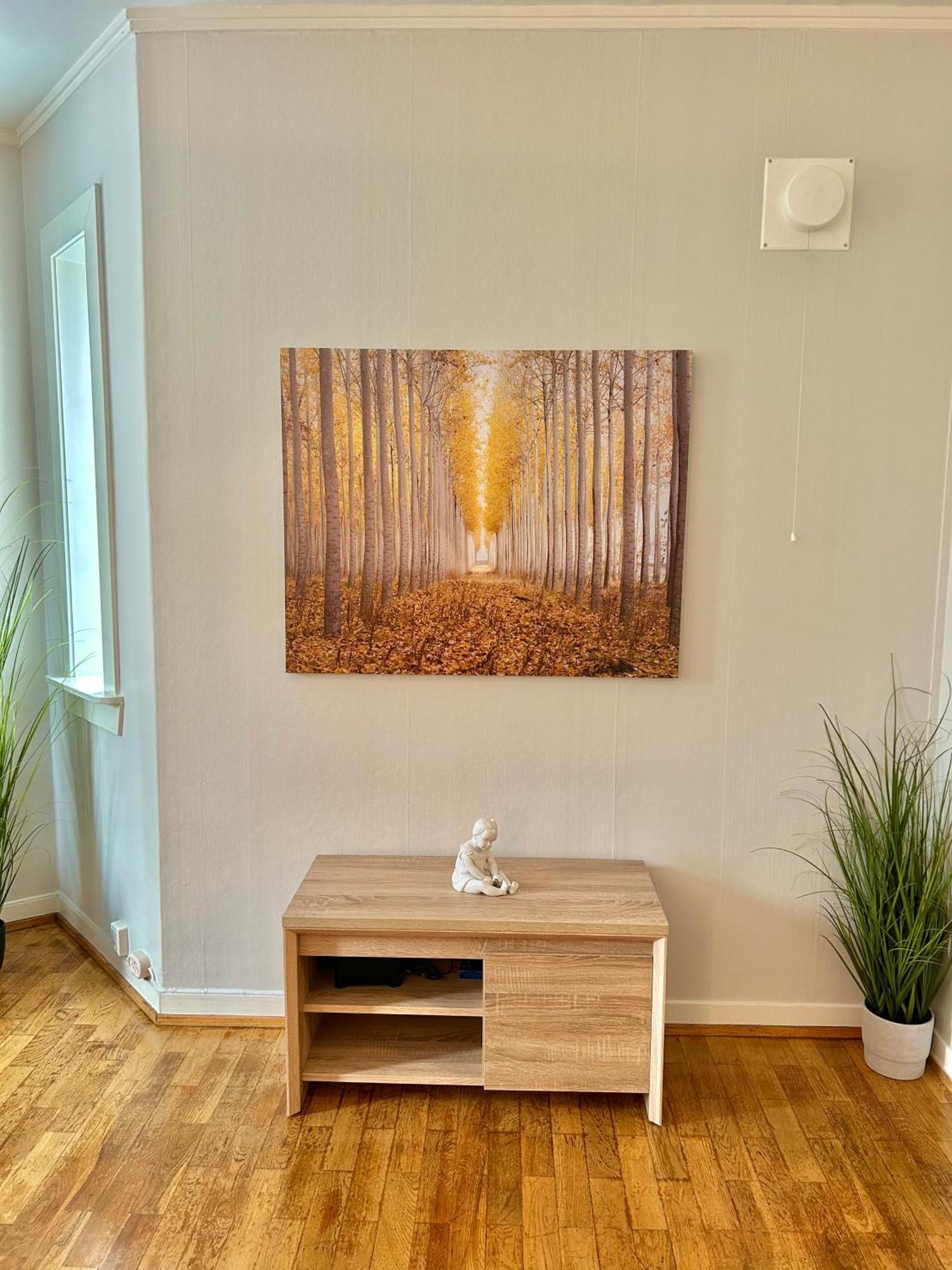 Gjestehuset Borggata 18 Fredrikstad Buitenkant foto